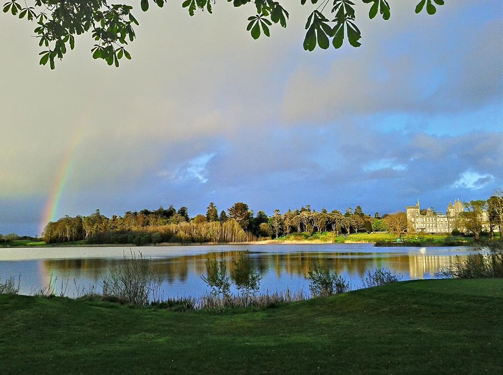 Dromoland Castle Hotel Newmarket-on-Fergus Ruang foto